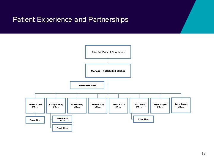 Patient Experience and Partnerships Director, Patient Experience Manager, Patient Experience Administration Officer Senior Project