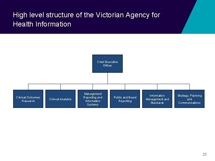High level structure of the Victorian Agency for Health Information Chief Executive Officer Clinical