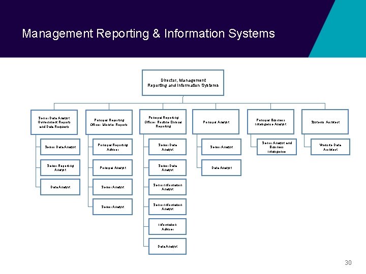 Management Reporting & Information Systems Director, Management Reporting and Information Systems Senior Data Analyst,