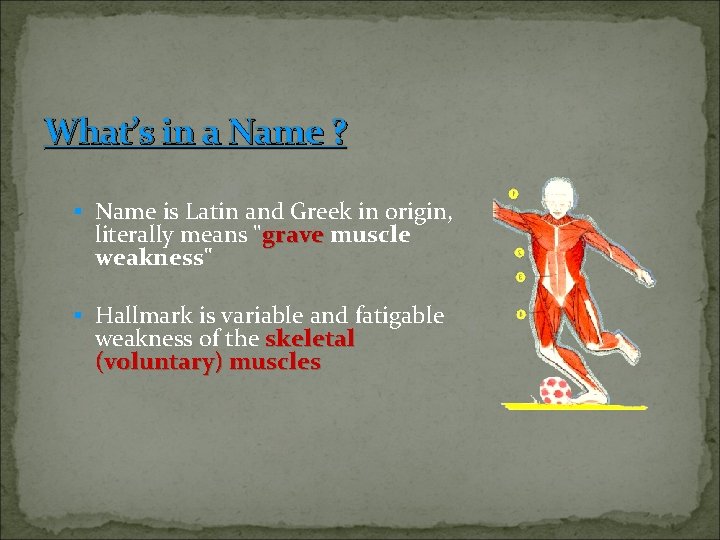 What’s in a Name ? § Name is Latin and Greek in origin, literally