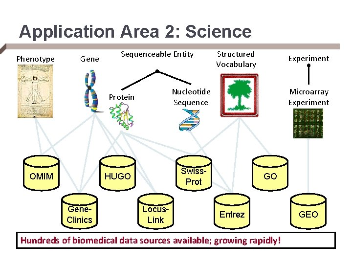 Application Area 2: Science Phenotype Gene Sequenceable Entity Microarray Experiment Swiss. Prot HUGO Gene.