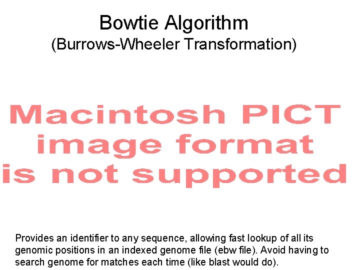 Bowtie Algorithm (Burrows-Wheeler Transformation) Provides an identifier to any sequence, allowing fast lookup of