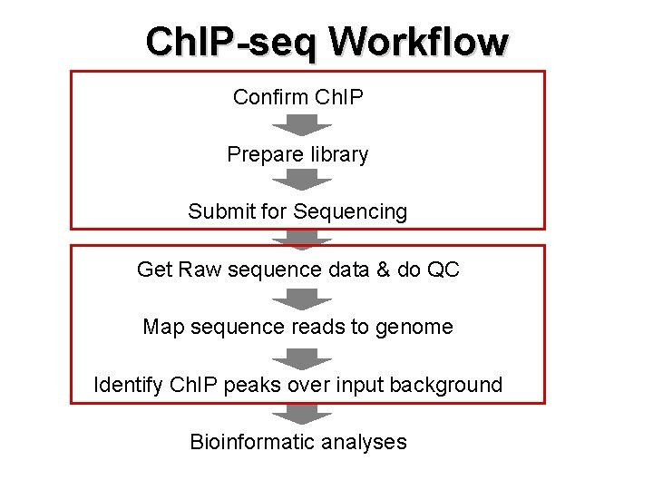 Ch. IP-seq Workflow Confirm Ch. IP Prepare library Submit for Sequencing Get Raw sequence