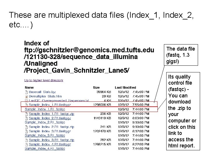 These are multiplexed data files (Index_1, Index_2, etc. …) The data file (fastq, 1.
