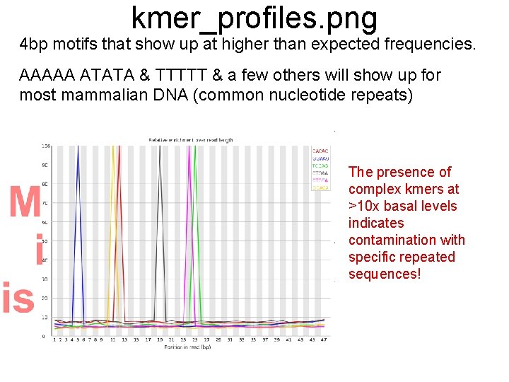 kmer_profiles. png 4 bp motifs that show up at higher than expected frequencies. AAAAA