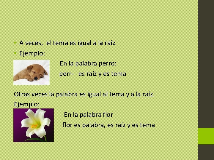 • A veces, el tema es igual a la raíz. • Ejemplo: • • A veces, el tema es igual a la raíz. • Ejemplo: •