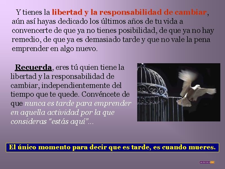 Y tienes la libertad y la responsabilidad de cambiar, cambiar aún así hayas dedicado