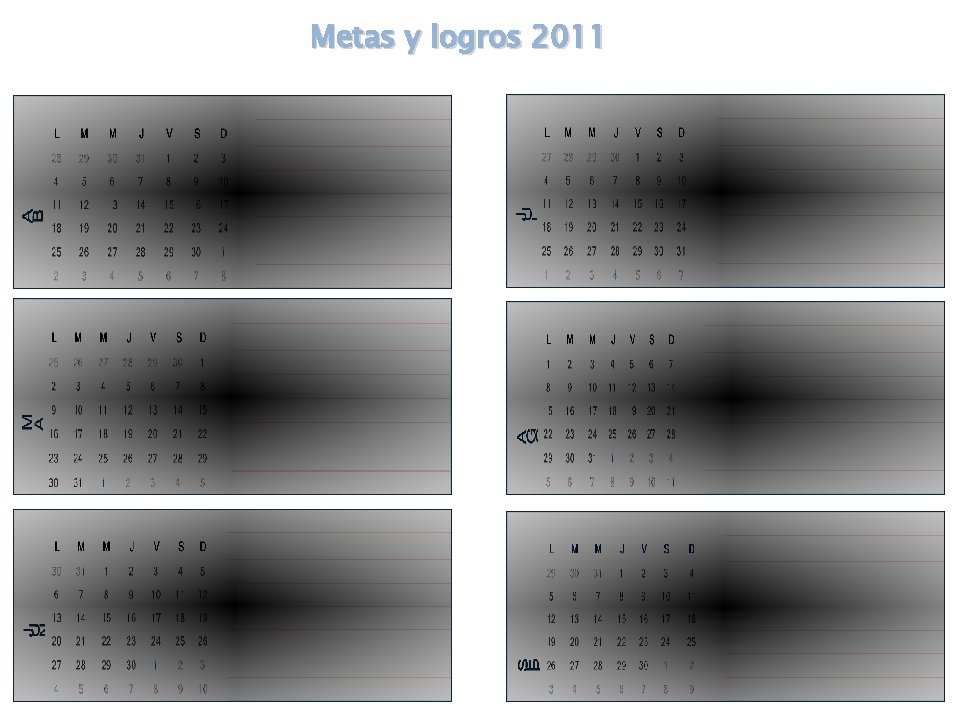 Metas y logros 2011 Metas y logros 2011