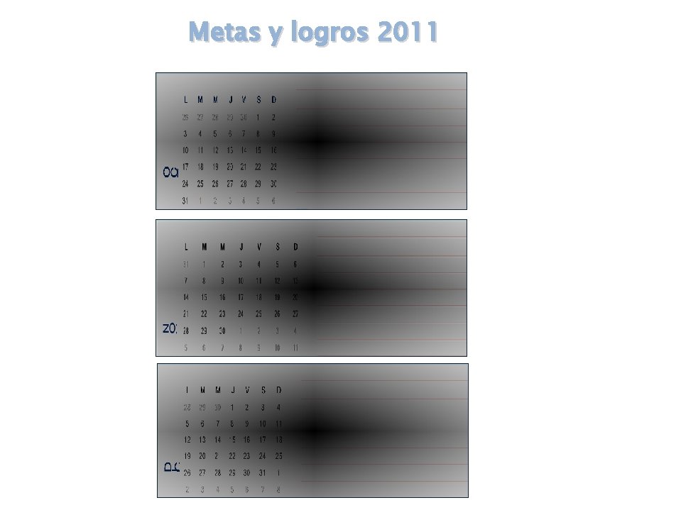 Metas y logros 2011 Metas y logros 2011
