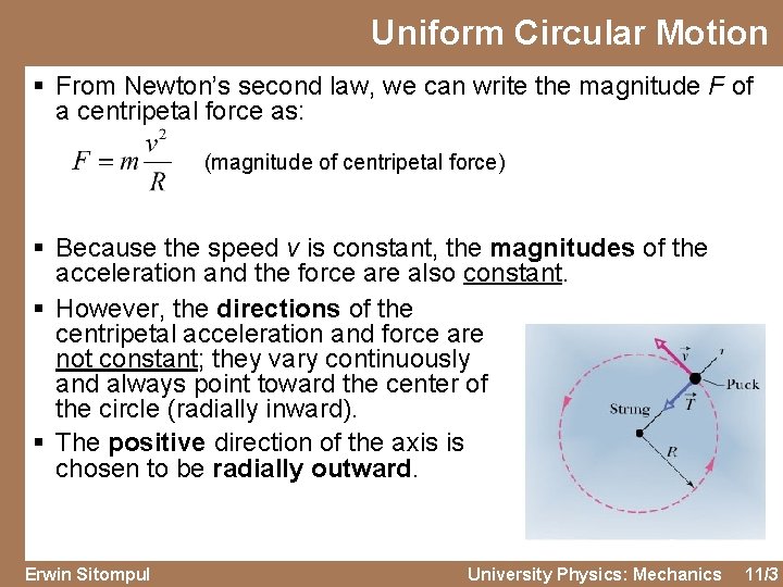 Uniform Circular Motion § From Newton’s second law, we can write the magnitude F