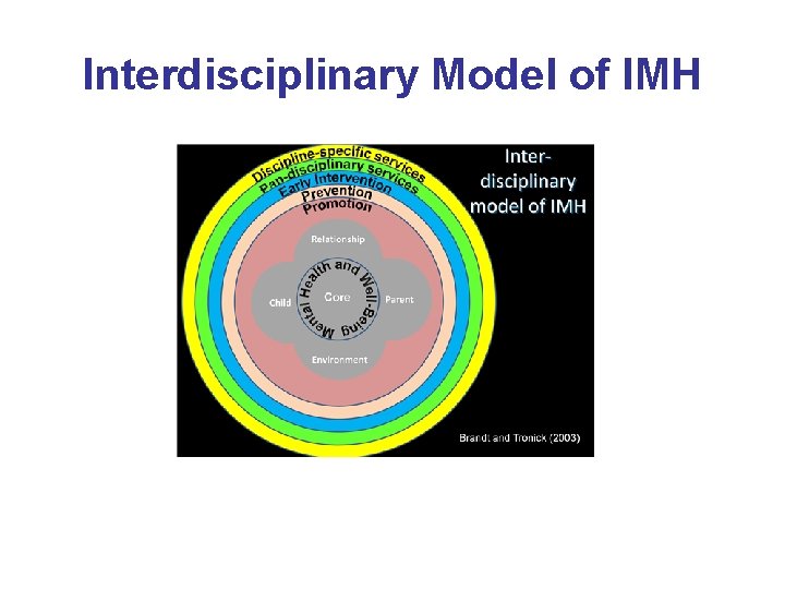 Interdisciplinary Model of IMH Interdisciplinary Model of IMH