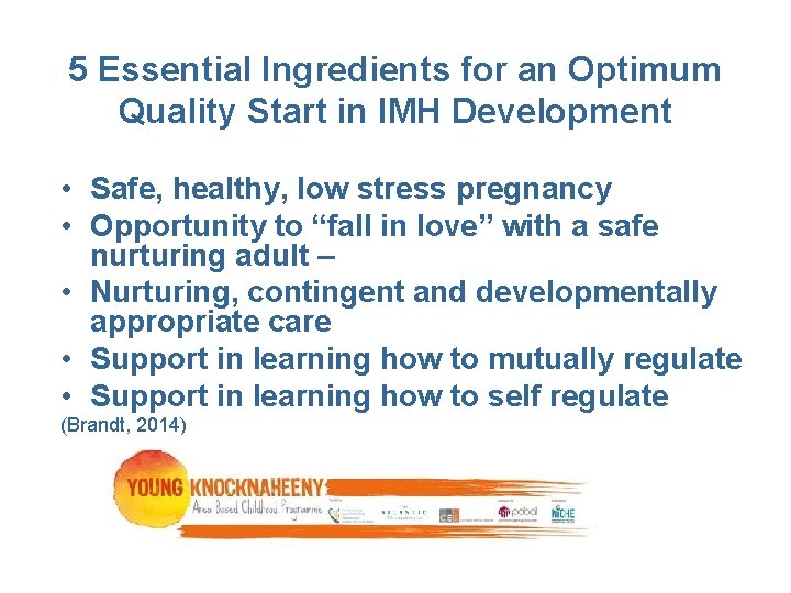 5 Essential Ingredients for an Optimum Quality Start in IMH Development • Safe, healthy, 5 Essential Ingredients for an Optimum Quality Start in IMH Development • Safe, healthy,