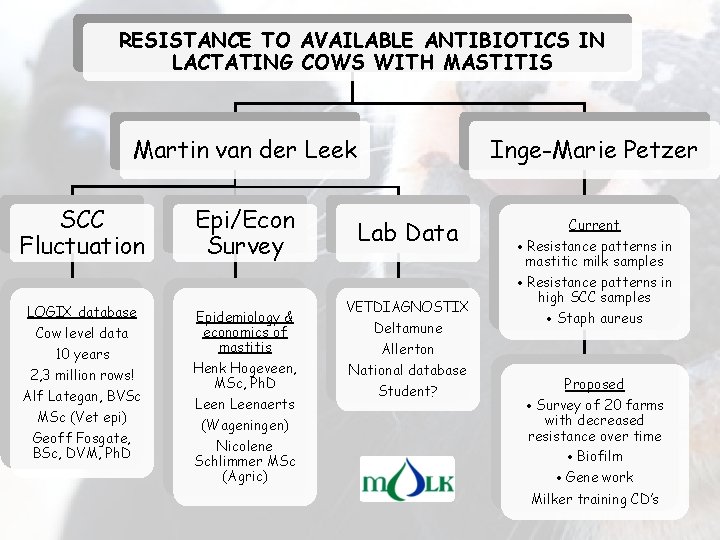 RESISTANCE TO AVAILABLE ANTIBIOTICS IN LACTATING COWS WITH MASTITIS Martin van der Leek SCC