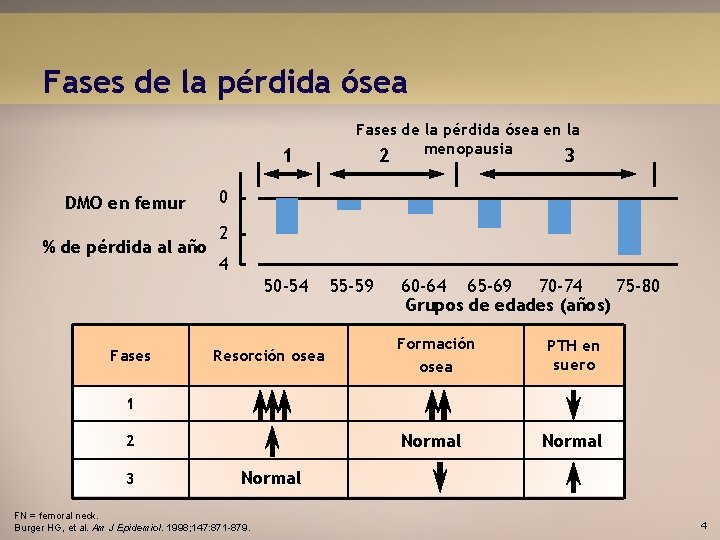 Fases de la pérdida ósea 1 DMO en femur % de pérdida al año