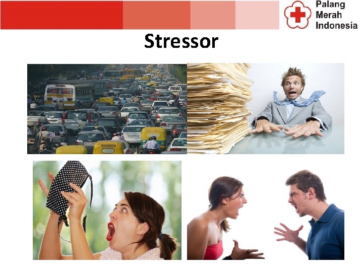 Stressor Stressor