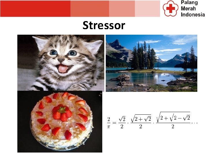 Stressor Stressor