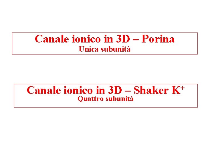 Canale ionico in 3 D – Porina Unica subunità Canale ionico in 3 D