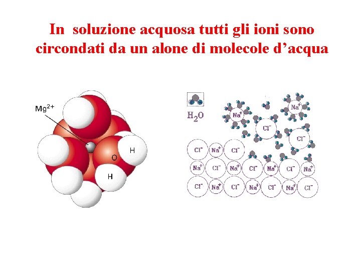 In soluzione acquosa tutti gli ioni sono circondati da un alone di molecole d’acqua