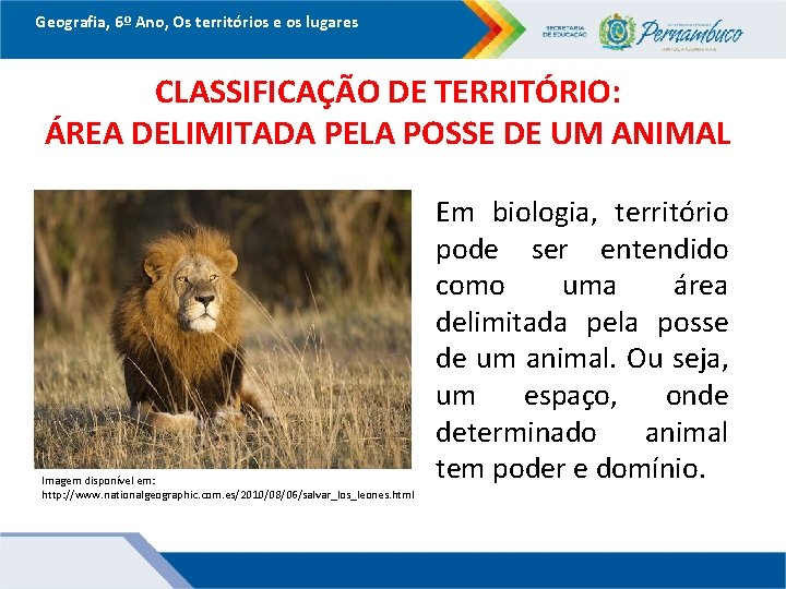 Geografia, 6º Ano, Os territórios e os lugares CLASSIFICAÇÃO DE TERRITÓRIO: ÁREA DELIMITADA PELA