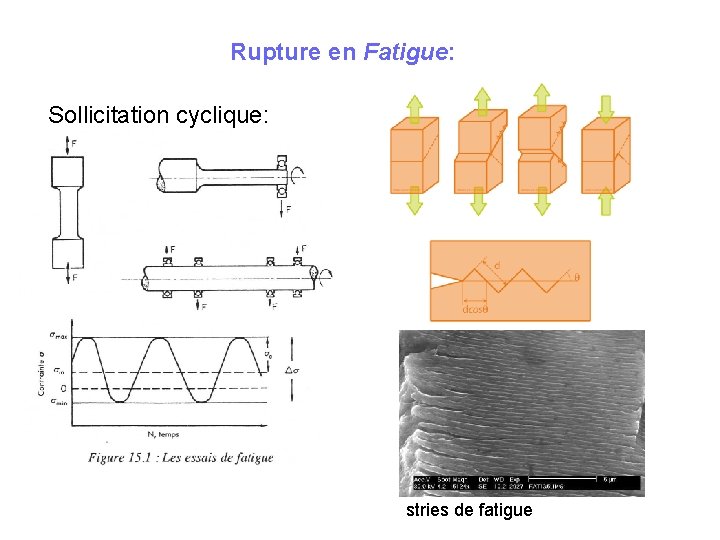 Rupture en Fatigue: Sollicitation cyclique: stries de fatigue 