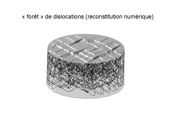  « forêt » de dislocations (reconstitution numérique) 