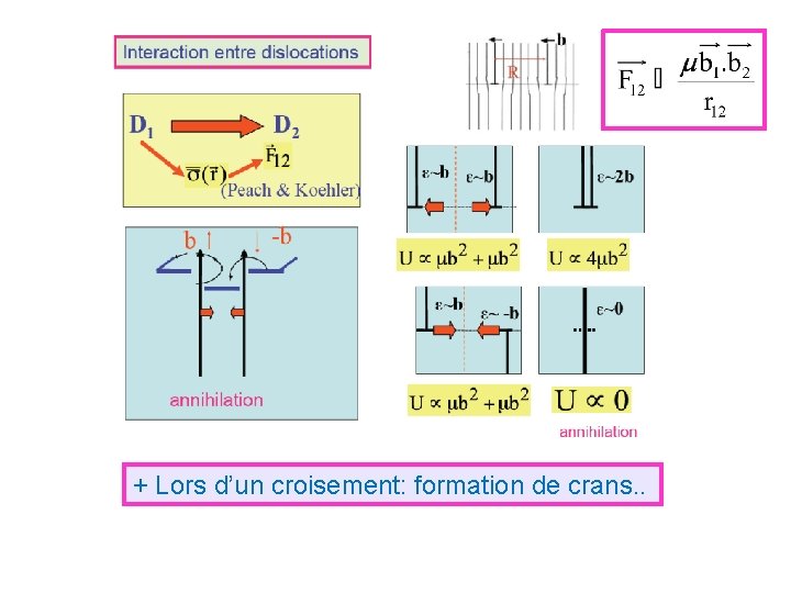 + Lors d’un croisement: formation de crans. . 