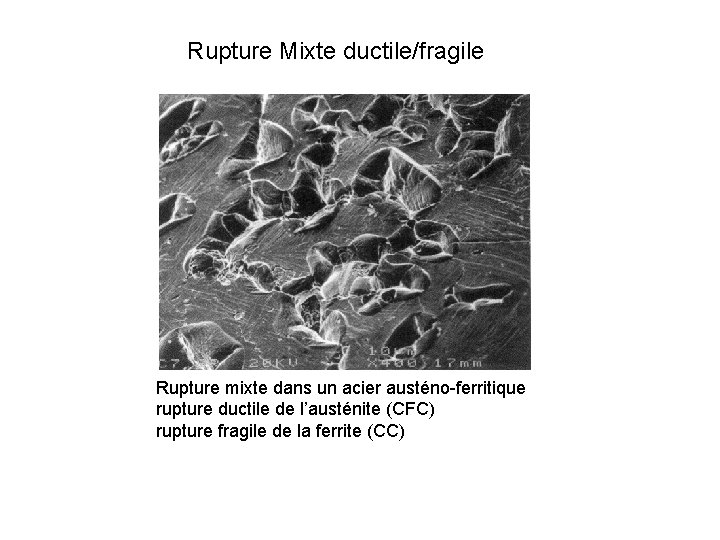 Rupture Mixte ductile/fragile Rupture mixte dans un acier austéno-ferritique rupture ductile de l’austénite (CFC)