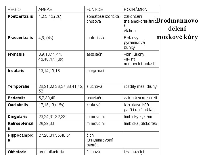 REGIO AREAE FUNKCE POZNÁMKA Postcentralis 1, 2, 3, 43, (2 s) somatosenzorická, zakončení chuťová