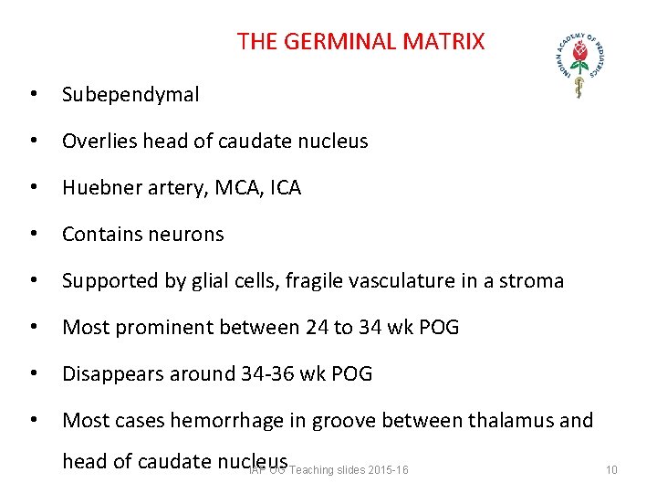 THE GERMINAL MATRIX • Subependymal • Overlies head of caudate nucleus • Huebner artery, THE GERMINAL MATRIX • Subependymal • Overlies head of caudate nucleus • Huebner artery,