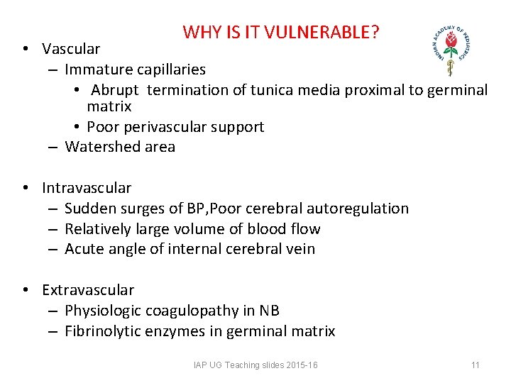 WHY IS IT VULNERABLE? • Vascular – Immature capillaries • Abrupt termination of tunica WHY IS IT VULNERABLE? • Vascular – Immature capillaries • Abrupt termination of tunica