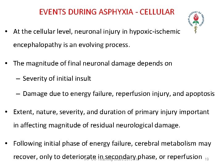 EVENTS DURING ASPHYXIA - CELLULAR • At the cellular level, neuronal injury in EVENTS DURING ASPHYXIA - CELLULAR • At the cellular level, neuronal injury in