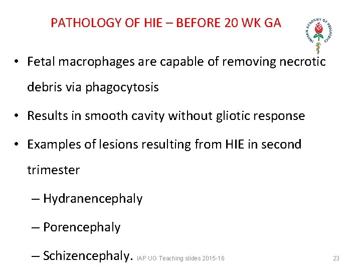 PATHOLOGY OF HIE – BEFORE 20 WK GA • Fetal macrophages are capable PATHOLOGY OF HIE – BEFORE 20 WK GA • Fetal macrophages are capable