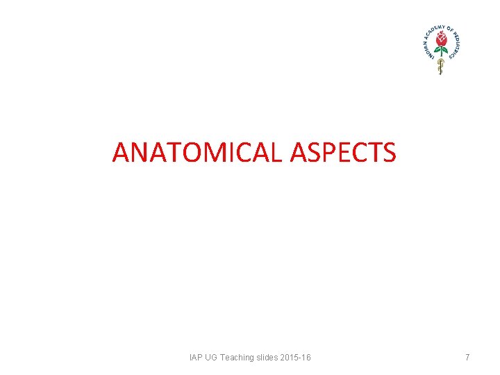 ANATOMICAL ASPECTS IAP UG Teaching slides 2015 -16 7 ANATOMICAL ASPECTS IAP UG Teaching slides 2015 -16 7