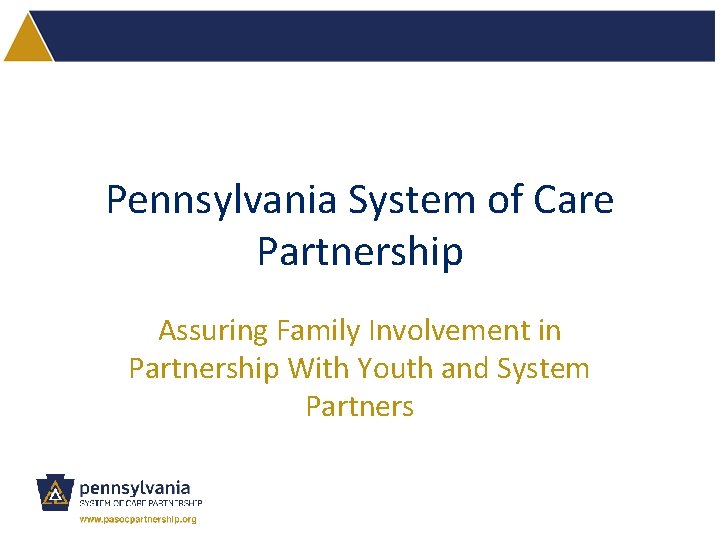 Pennsylvania System of Care Partnership Assuring Family Involvement in Partnership With Youth and System