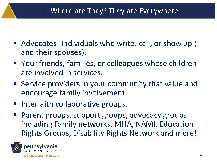  • Where are They? They are Everywhere § Advocates- Individuals who write, call,
