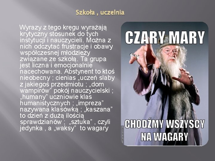 Szkoła , uczelnia Wyrazy z tego kręgu wyrażają krytyczny stosunek do tych instytucji i