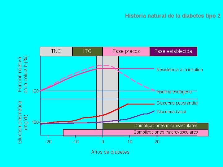 Historia natural de la diabetes tipo 2 Glucosa plasmática (mg/dl) Función relativa de la