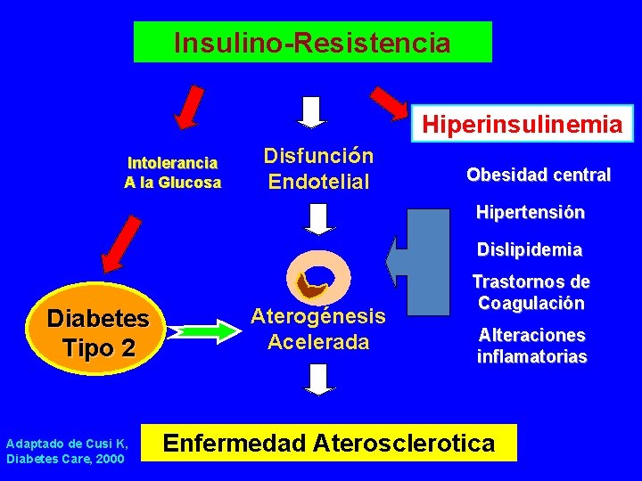 Insulino-Resistencia Hiperinsulinemia Intolerancia A la Glucosa Disfunción Endotelial Obesidad central Hipertensión Dislipidemia Diabetes Tipo