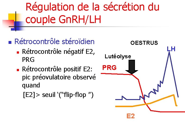 Régulation de la sécrétion du couple Gn. RH/LH n Rétrocontrôle stéroïdien OESTRUS Rétrocontrôle négatif