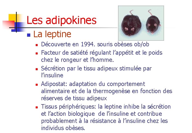 Les adipokines n La leptine n n n Découverte en 1994. souris obèses ob/ob