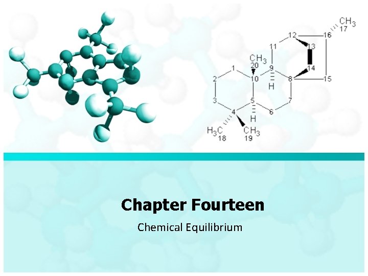 Chapter Fourteen Chemical Equilibrium 