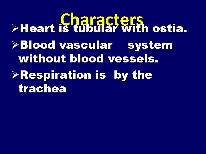 Characters ØHeart is tubular with ostia. ØBlood vascular system without blood vessels. ØRespiration is