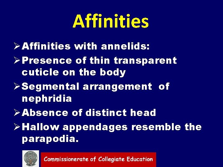 Affinities Ø Affinities with annelids: Ø Presence of thin transparent cuticle on the body