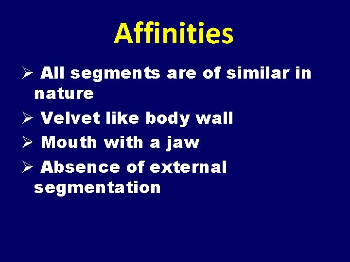Affinities Ø All segments are of similar in nature Ø Velvet like body wall