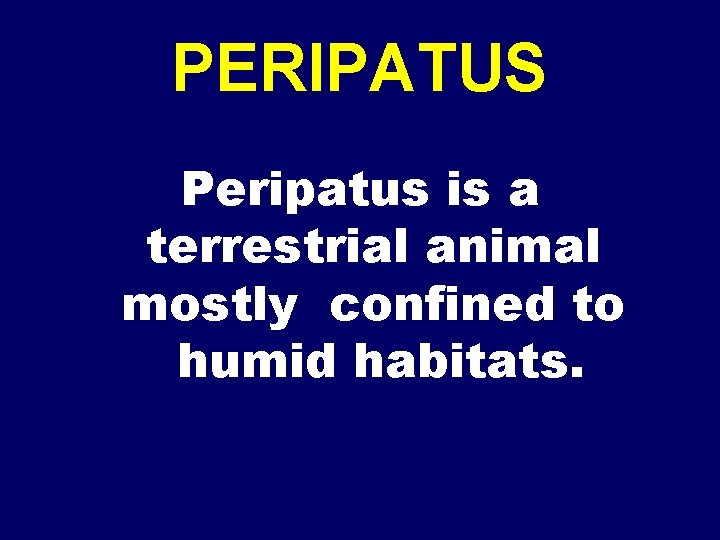 PERIPATUS Peripatus is a terrestrial animal mostly confined to humid habitats. 