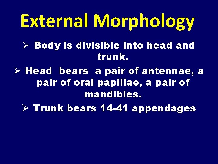External Morphology Ø Body is divisible into head and trunk. Ø Head bears a