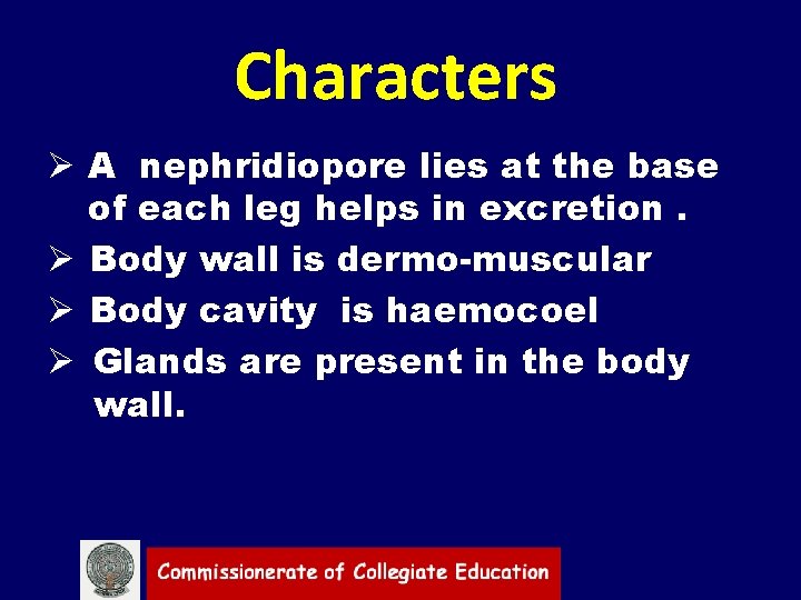 Characters Ø A nephridiopore lies at the base of each leg helps in excretion.