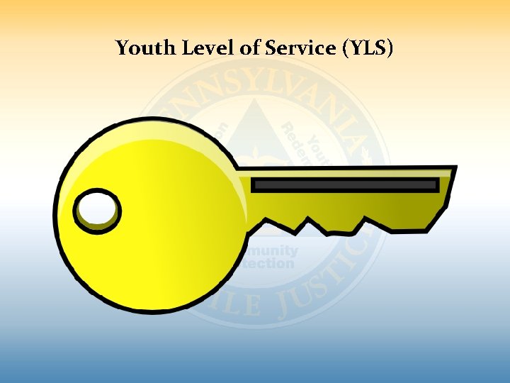 Youth Level of Service (YLS) Youth Level of Service (YLS)