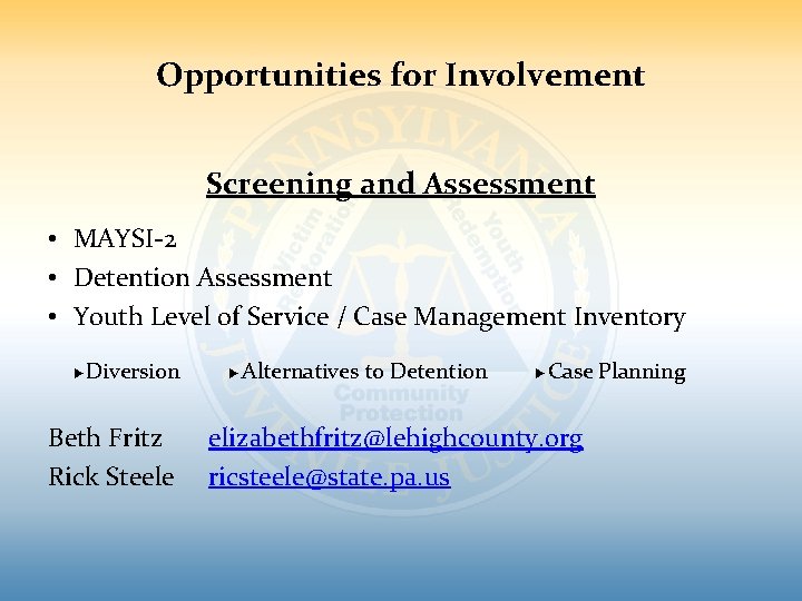 Opportunities for Involvement Screening and Assessment • MAYSI-2 • Detention Assessment • Youth Level