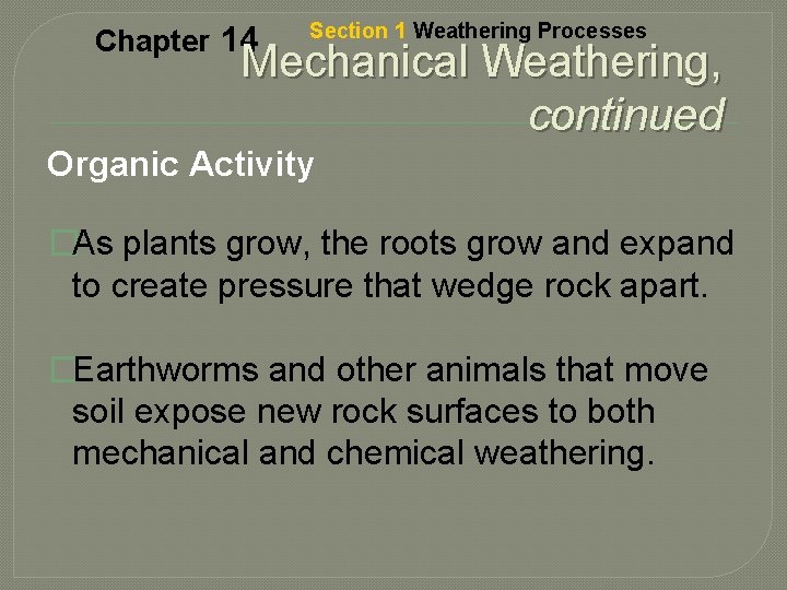 Chapter 14 Section 1 Weathering Processes Mechanical Weathering, continued Organic Activity �As plants grow,